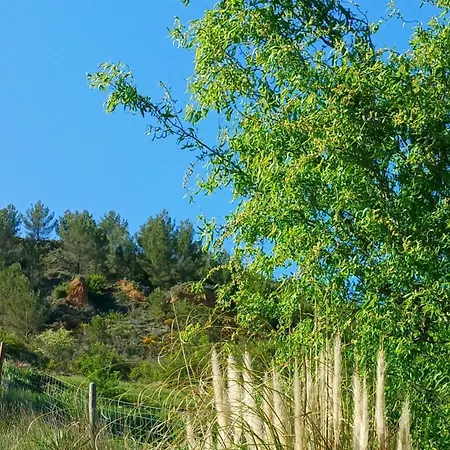 Villa Il Etait Fois En Pays Cathare *